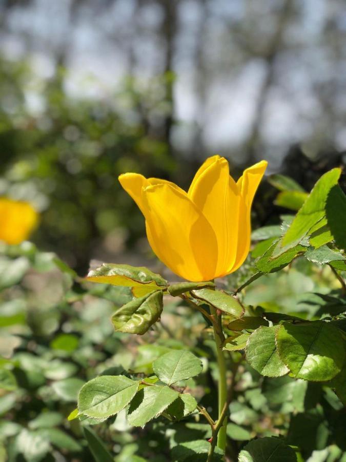 La Maison Du Soleil Provence 드라기냥 외부 사진